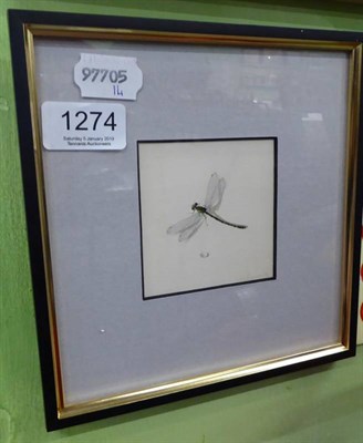 Lot 1274 - Alexei Likhachev (Contemporary), dragonfly 489, signed and dated '93, pencil and watercolour,...