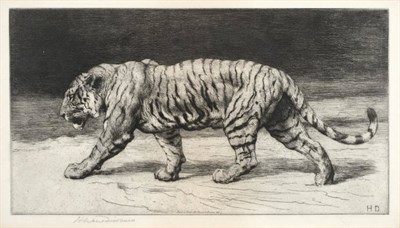 Lot 66 - After Herbert Dicksee (1862-1942) Prowling tiger Signed in pencil, black and white engraving...