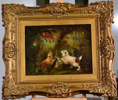 Lot 127 - George Armfield (1810-1893) ''Cornered'' Signed, oil on canvas, 30cm by 39.5cm