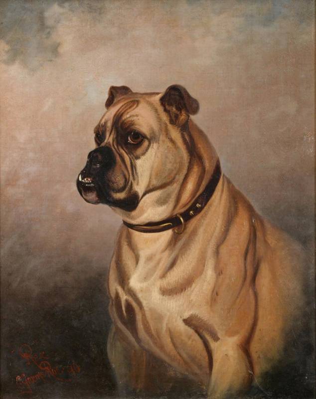 Lot 172 - Colin Graeme Roe (1857-1910)  ''Rex'' Signed and dated (18)96, oil on canvas, 49cm by 39cm...