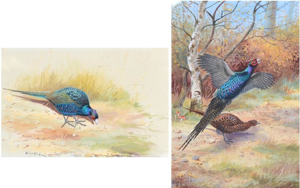 Lot 177 - Philip Rickman (1891-1982) A cock and a hen pheasant  Signed, watercolour, together with a...