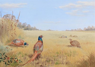 Lot 178 - John Cyril Harrison (1898-1985) Pheasants in a field of wheat Signed, watercolour, 33cm by 47cm...