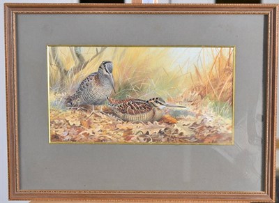 Lot 180 - Philip Rickman (1891-1982)A brace of Woodcock in Autumnal landscapeSigned, watercolour,...