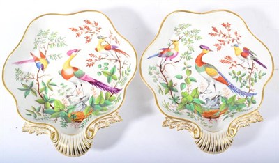 Lot 275 - A Pair of Chamberlains Worcester Porcelain Shell Shaped Dessert Dishes, circa 1820, painted in...