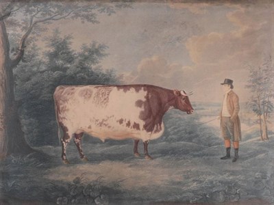 Lot 317 - John Whessell after John Boultbee The Durham Ox Aquatint, image size 450mm by 600mm