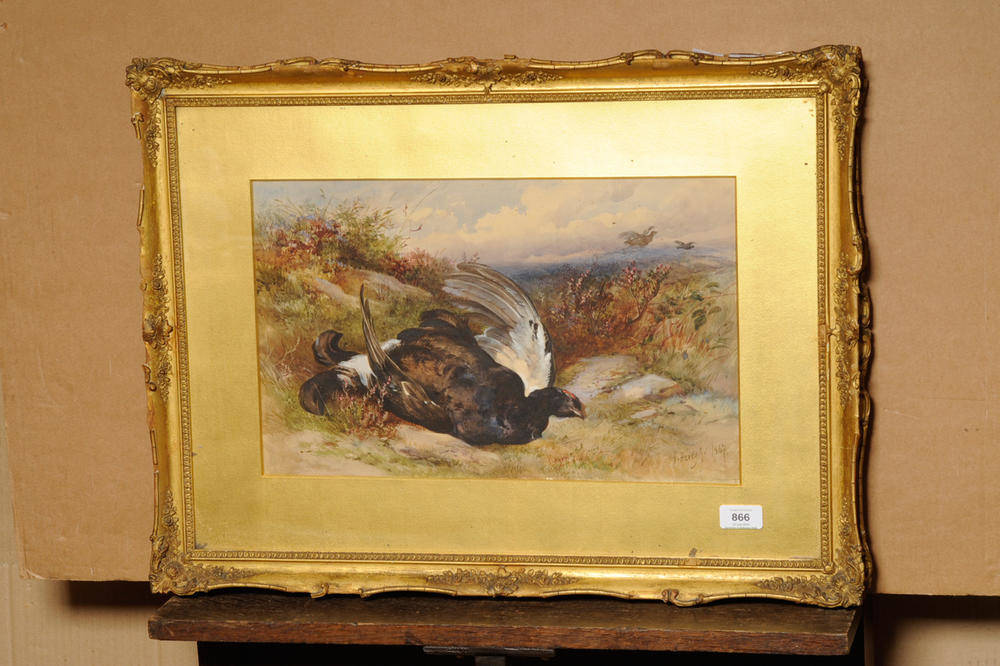 Lot 866 - James Hardy Jnr RI (1832-1889) Still Life of Dead Blackcock Signed and dated 1867, pencil,...