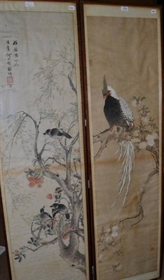 Lot 384 - Chinese Scroll Paintings (19th century), a white Asiatic pheasant and three songbirds, watercolour