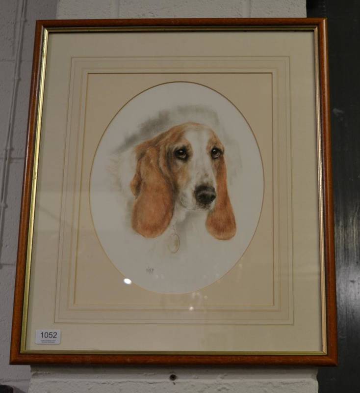 Lot 1052 - Nikki Solone, portrait of Bassett Hound, pastel, 28cm by 35cm