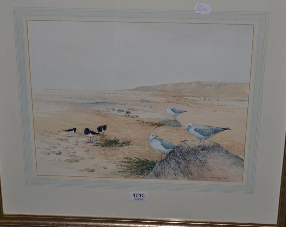 Lot 1015 - Beresford-Hill (20th century) Study of seagulls and other shore birds on a beach, watercolour,...