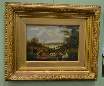 Lot 1025 - H.C. Woollett (19th century) Chickens, signed, oil on canvas