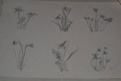 Lot 1066 - A collection of 19th century botanical drawings, architectural drawings and engravings