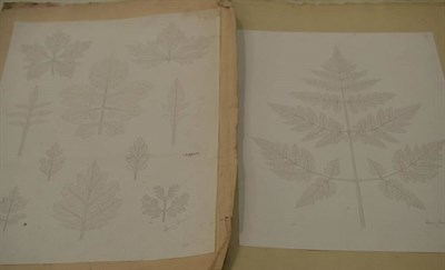 Lot 1066 - A collection of 19th century botanical drawings, architectural drawings and engravings