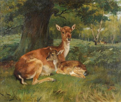 Lot 1113 - Wright Barker RBA (1864-1941) Fallow Deer beside a Tree Signed, oil on canvas, 63cm by 76cm