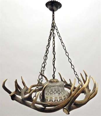 Lot 17 - Antler Furniture: Antler Chandelier, a Red Deer antler mounted chandelier, constructed from...