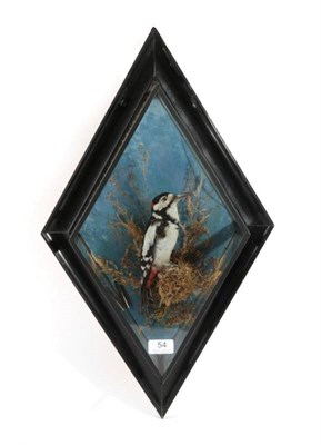 Lot 54 - Taxidermy: Great Spotted Woodpecker (Dendrocopos major), circa 1895-1958, by George Bazeley,...