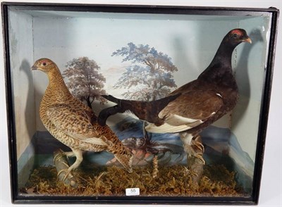 Lot 55 - Taxidermy: A Pair of Late Victorian Black Grouse (Lyrurus tetrix), in the manner of Bill Cox,...