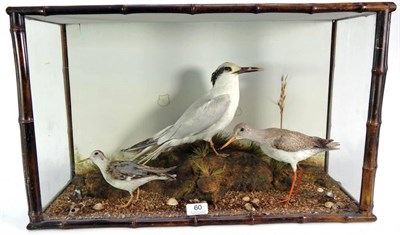 Lot 60 - Taxidermy: A Victorian Diorama of British Estuary Birds, by H.N.Pashley, Cley-Next-The-Sea,...