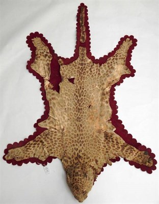 Lot 61 - Taxidermy: Leopard Skin (Panthera pardus), circa 1900, skin rug with head mount, mouth agape in...