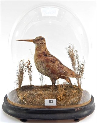 Lot 93 - Taxidermy: A Victorian Woodcock (Scolopax), full mount stood upon soil groundwork amongst tall...