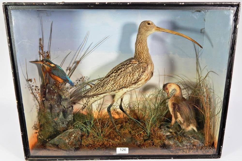 Lot 126 - Taxidermy: A Cased Diorama of British Birds, circa 1900, to include- Common Kingfisher, Curlew, and