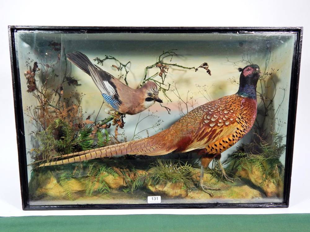 Lot 131 - Taxidermy: A Fine Quality Late Victorian Cased Ring-Necked Pheasant and Jay, by James Gardner,...