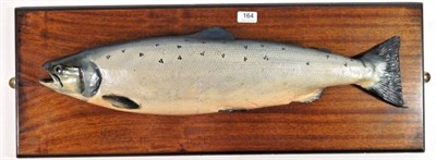 Lot 164 - Fishing Interest: A Plaster Cast Model of a Salmon, mounted on a mahogany plaque, faintly inscribed