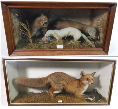 Lot 172 - Taxidermy: A Cased Red Fox with Lapwing Prey, a Cased Diorama of Animals, a full mount Red Fox...