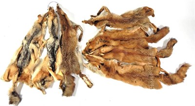 Lot 187 - Skins/Hides: A Collection of Animal Pelts, to include two Black-Backed Jackals, seven Pine...