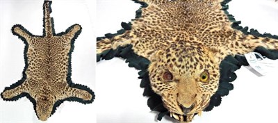 Lot 189 - Taxidermy: Indian Leopard (Panthera pardus fusca), circa 1920-1930, by C D Sassoon & Co Ltd, India