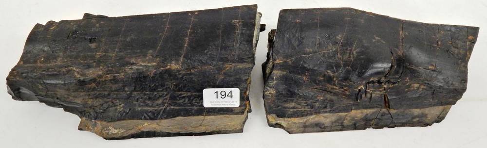 Lot 194 - Mineral/Fossils: Whitby ''Cored'' Jet log, comprising a silicified fossilised wood core with a...