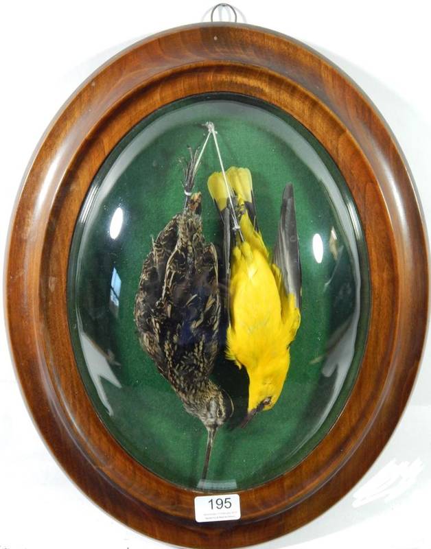 Lot 195 - Taxidermy: A Late 19th Century Oval Display of Birds, in the manner of Debitte & Herve, Paris,...