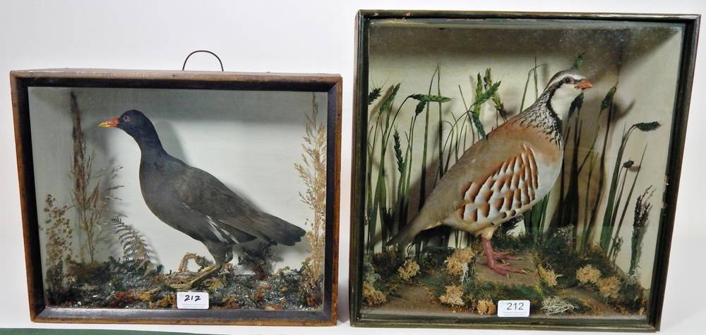 Lot 212 - Taxidermy: A Victorian Cased Red-Legged Partridge together with a Victorian Cased Moorhen, the full