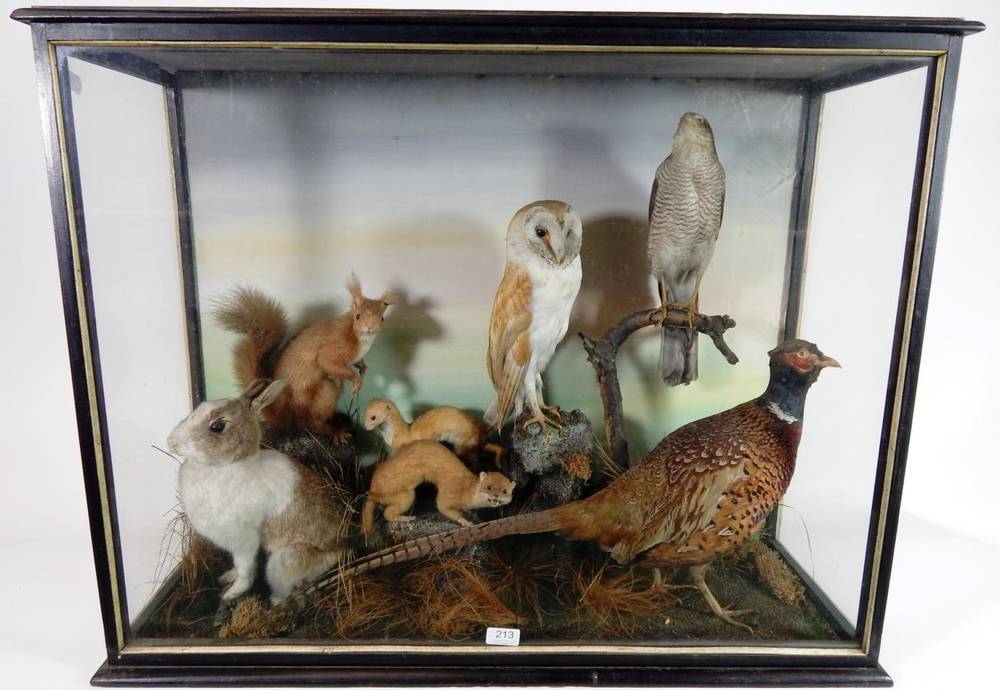 Lot 213 - Taxidermy: A Large Late Victorian Cased Diorama of British Birds and Animals, by L. E. Hope...