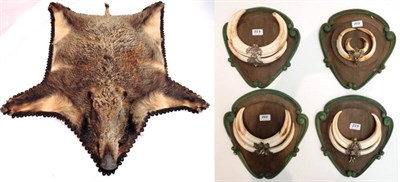 Lot 223 - Taxidermy: European Wild Boar (Sus scrofa), circa late 20th century, flat skin rug with head mount