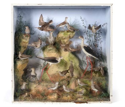 Lot 231 - Taxidermy: A Large Victorian Cased Diorama of Various Estuary and Wading Birds, by Henry Ward...