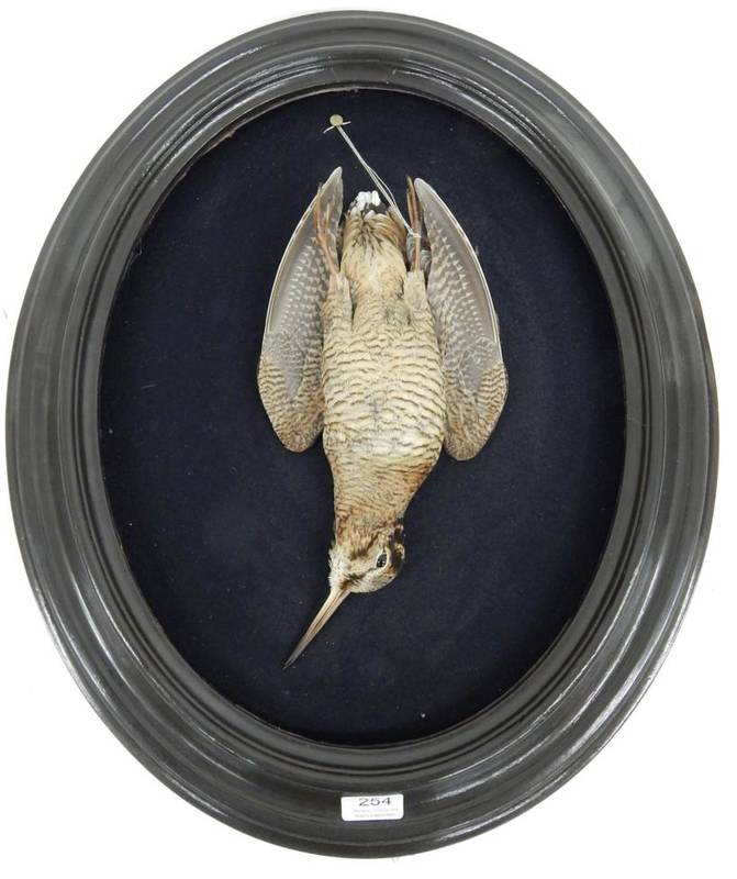 Lot 254 - Taxidermy: A Late 19th Century Oval Display of a Woodcock (Scolopax), in the manner of Debitte...