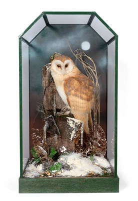 Lot 267 - Taxidermy: A Fine Specimen of a Barn Owl (Tito alba), circa 2005, by Graham Teasdale,...