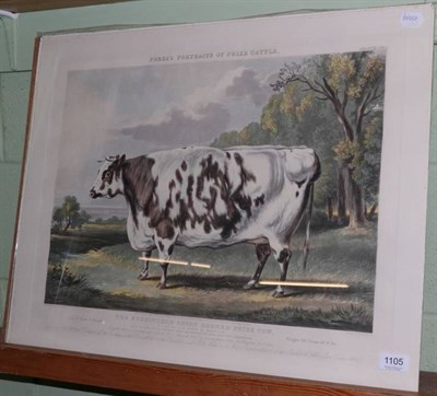 Lot 1105 - After W H Davis ''The Everingham Short Horned Prize Cow'', coloured engraving
