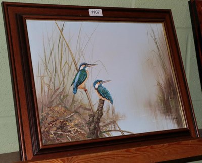 Lot 1107 - Nance (Contemporary) A pair of kingfishers, signed, oil on board