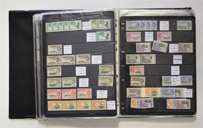Lot 7 - British Commonwealth Ex Dealer QE2 stock in a Hagner binder for countries A to M with...