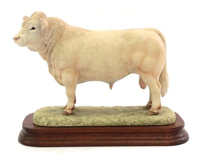 Lot 25 - Border Fine Arts 'Charolais Bull' (Style One), model No. L112 by Ray Ayres, limited edition...