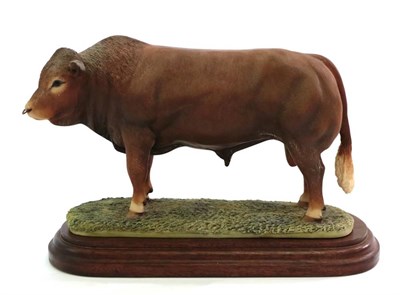 Lot 59 - Border Fine Arts 'Limousin Bull' (Style One), model No. L32 by Anne Wall, limited edition 217/1500