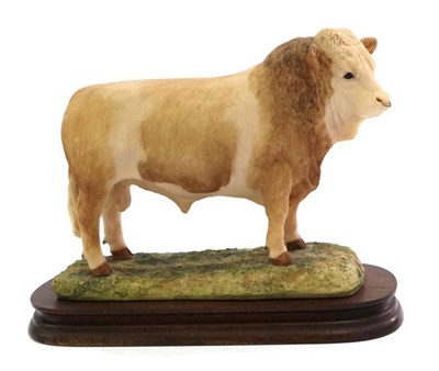 Lot 91 - Border Fine Arts 'Simmental Bull' (Style One), model No. L18 by Anne Wall, limited edition 491/850
