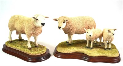 Lot 108 - Border Fine Arts 'Texel Ram' (Style Two), model No. B0530, limited edition 1063/1500 and 'Texel Ewe