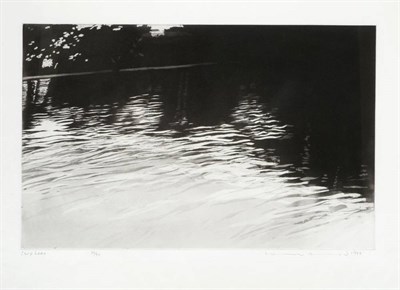 Lot 15 - Norman Ackroyd CBE, RA (b.1938) ''Carp Lake'' Signed and dated 1988, inscribed and numbered...