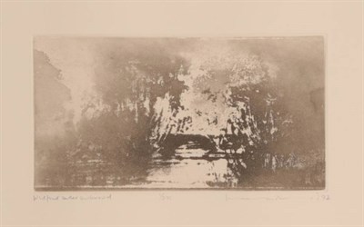 Lot 16 - Norman Ackroyd CBE, RA (b.1938) ''Widford under Wychwood'' Signed and dated (19)92, inscribed...
