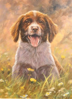 Lot 175 - John Trickett (b.1953)  Liver and white Springer Spaniel in the snow Signed, oil on canvas, 50cm by
