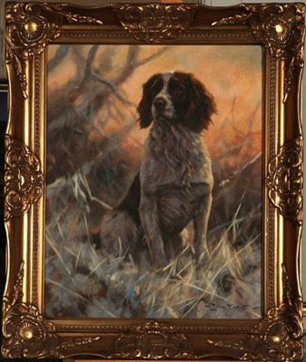 Lot 175 - John Trickett (b.1953)  Liver and white Springer Spaniel in the snow Signed, oil on canvas, 50cm by