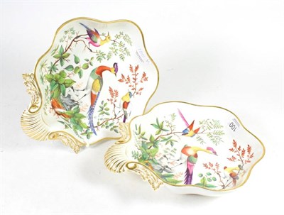 Lot 100 - A pair of Chamberlains Worcester porcelain shell shaped dessert dishes, circa 1820, painted in...
