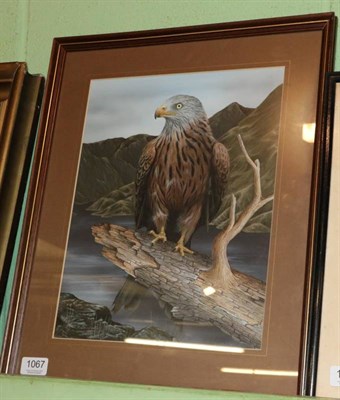 Lot 1067 - Carl Whitfield (Contemporary) A bird of prey perching before a mountainous lakeland landscape,...